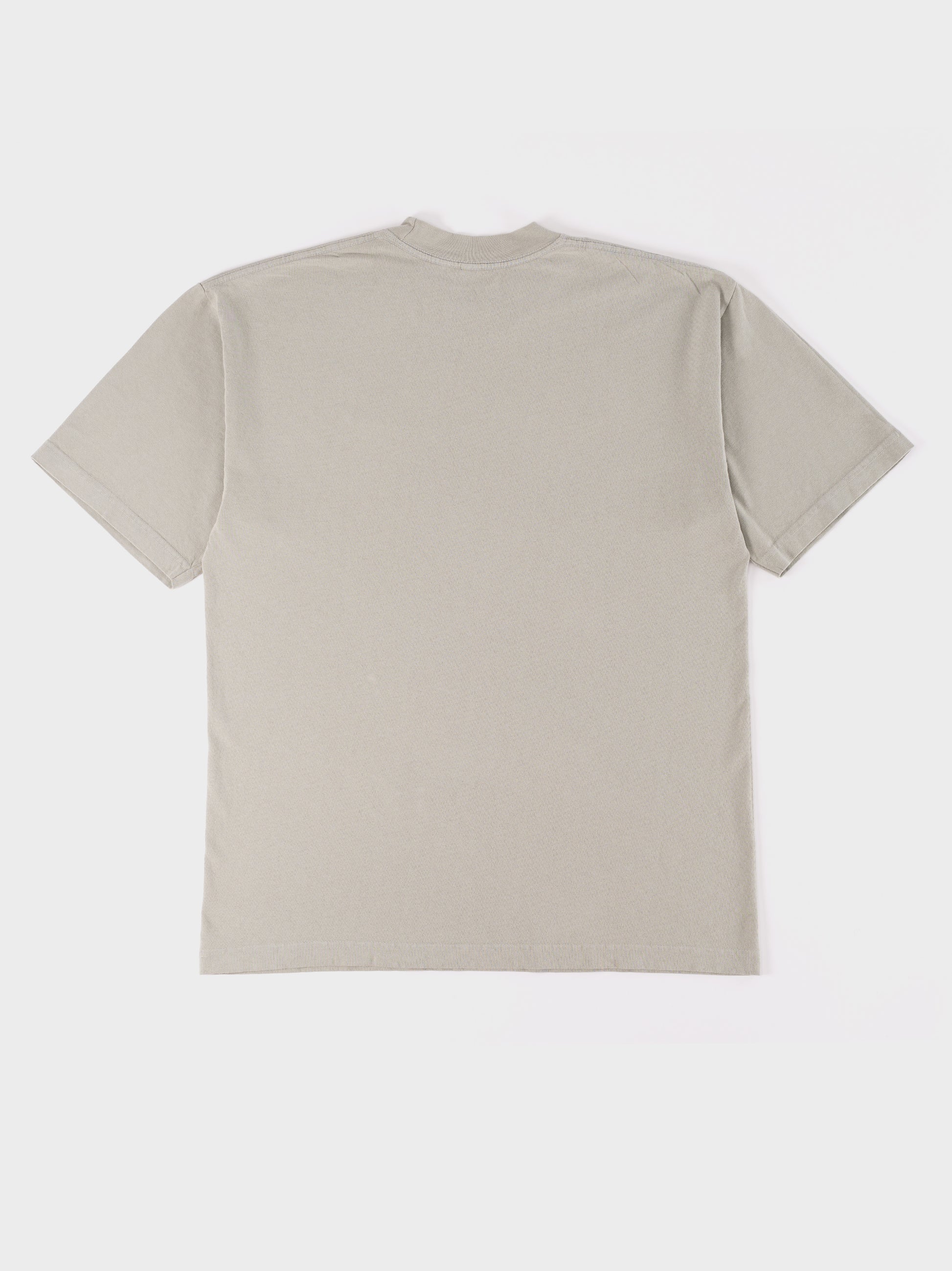 Adsum Canoe Tee - Sage