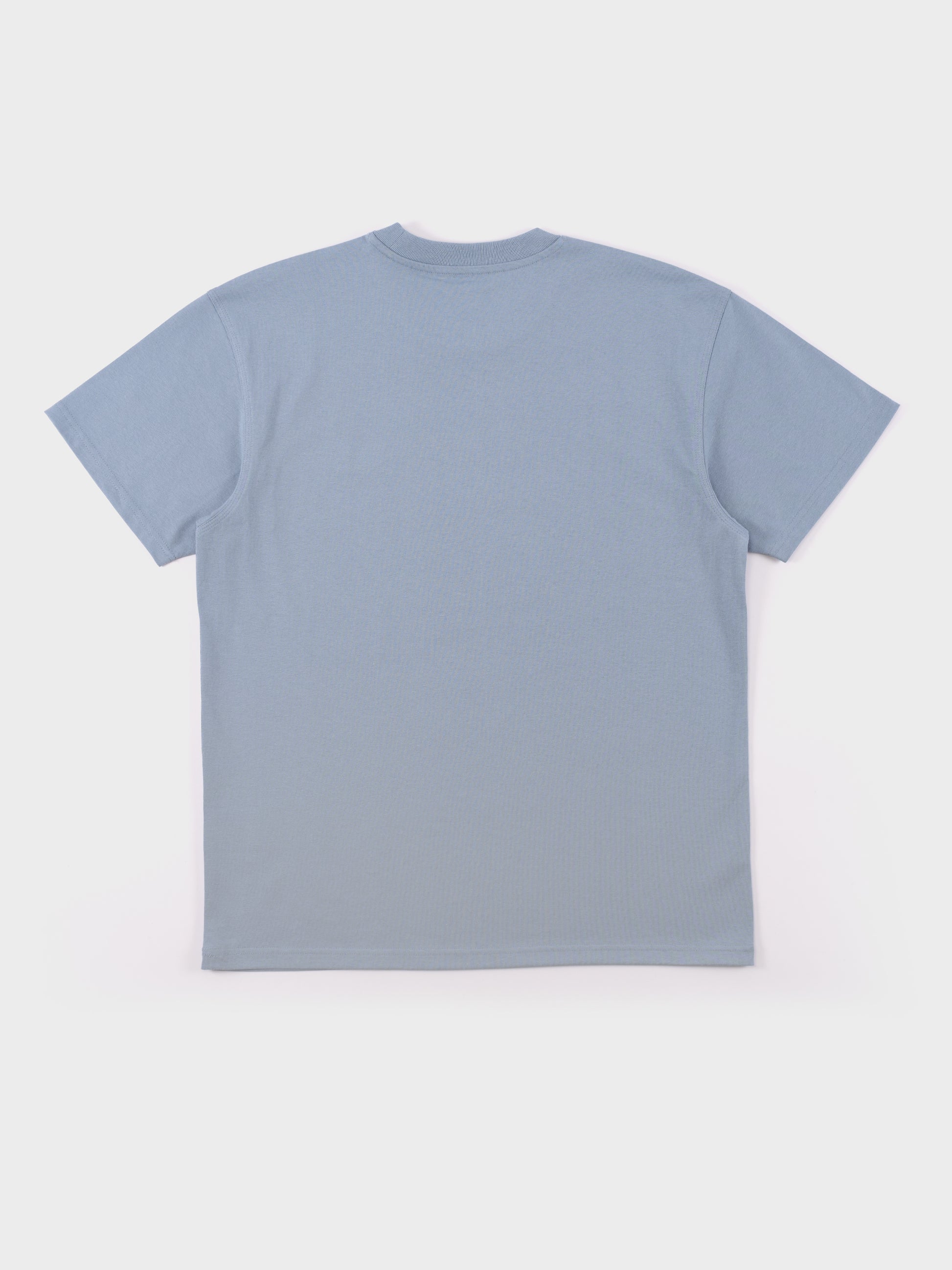 Carhartt SS American Script T Shirt - Frosted Blue