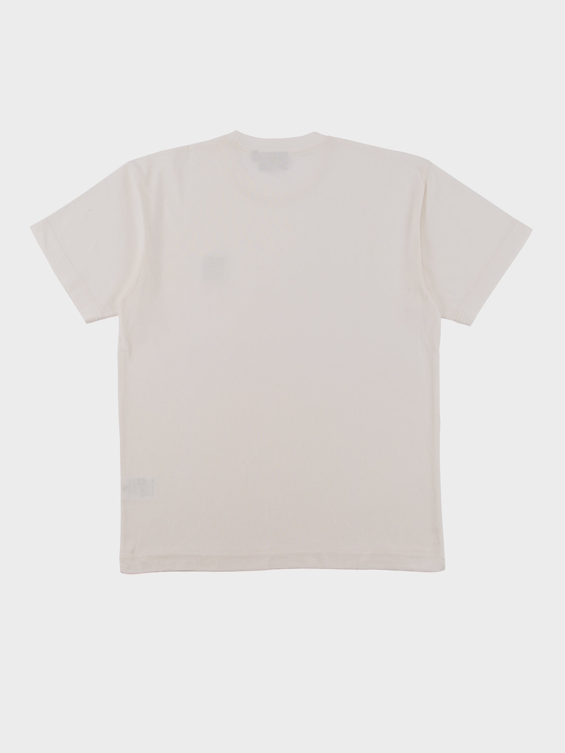 Carhartt SS Nelson T Shirt - Wax